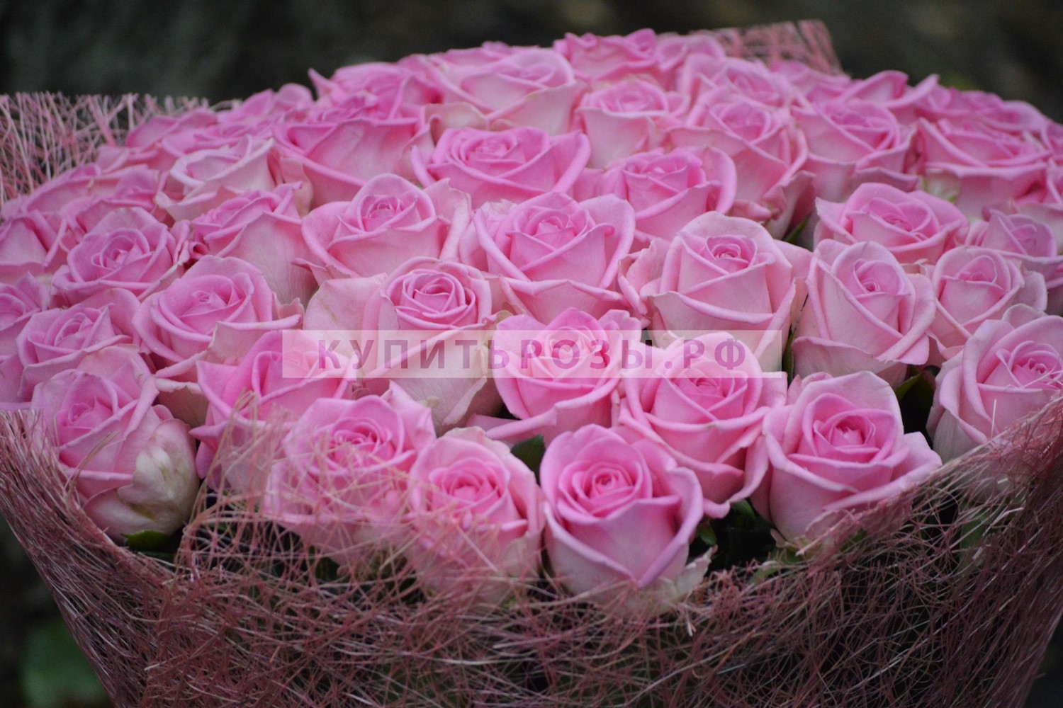 Букет роз Розовая пантера